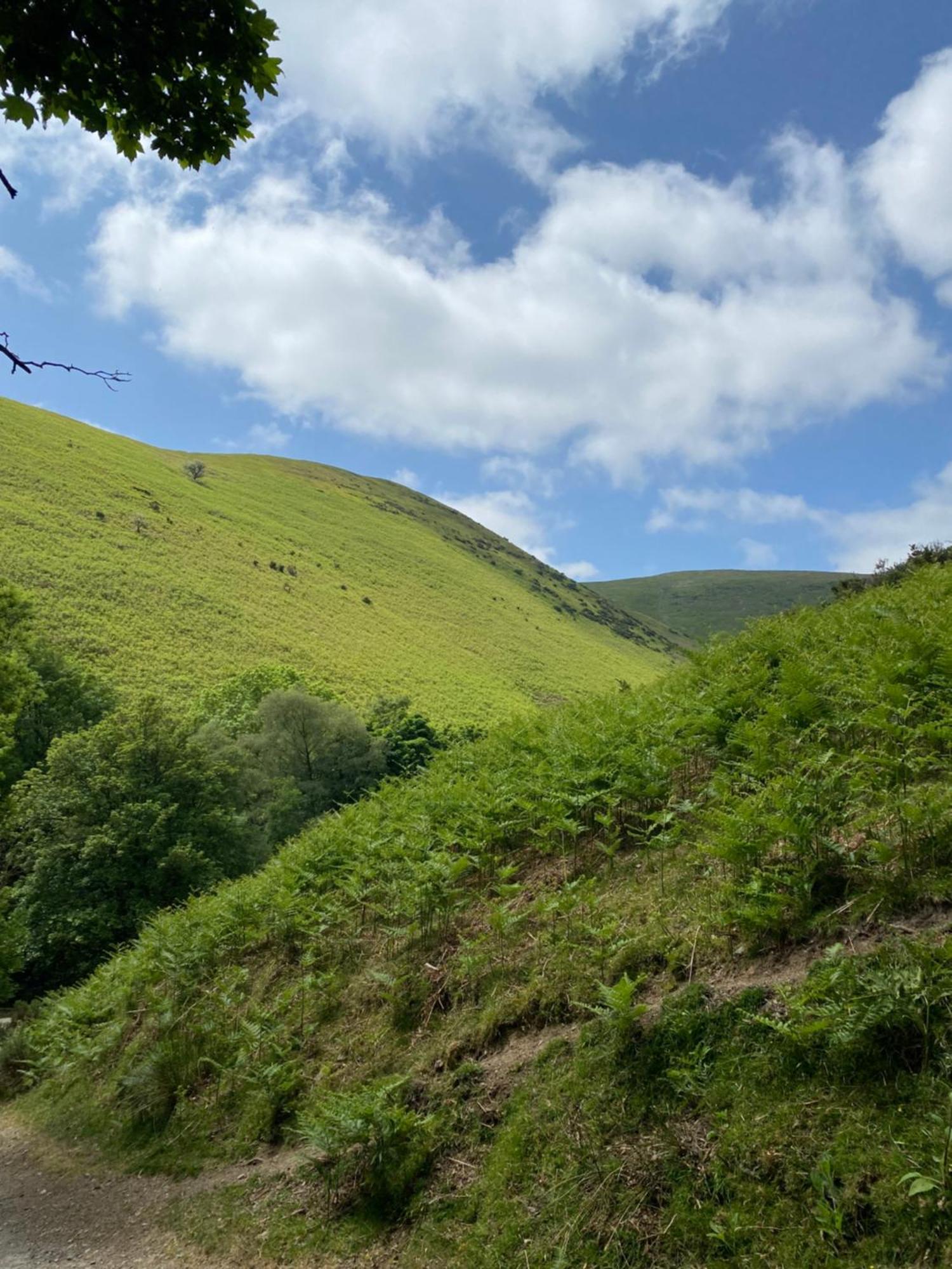 Pass The Keys Quaint 1 Bedroom Cottage In Church Stretton Buitenkant foto
